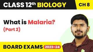 What is Malaria Part 2  Human Health and Disease  Class 12 Biology 202223 [upl. by Assirok709]