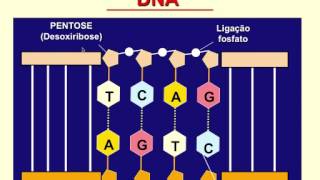 Curso de Biologia Molecular 15 [upl. by Enelav]