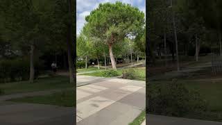 Parque de Hospitalet de Llobregat de Barcelona [upl. by Penny512]