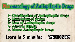 Pharmacology of Antiepileptic Drugs l Mechanism of Action l Classification l Newer Antiepileptics [upl. by Win321]