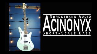 Nordstrand Audio Acinonyx Bass Demo [upl. by Eanerb]