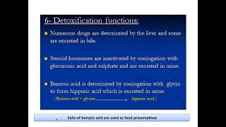 Liver Function Tests [upl. by Atterual]