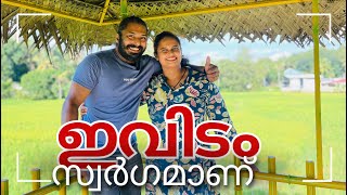 ഇവിടം സ്വർഗമാണ് HIDDEN tourist spot therightvibes travel [upl. by Anjanette]