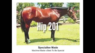 Hip 201 Speciallee Made AQHA [upl. by Lamiv675]