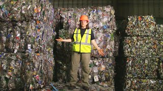 How Recycling Works Behind the Scenes at the MRF [upl. by Johnathan]