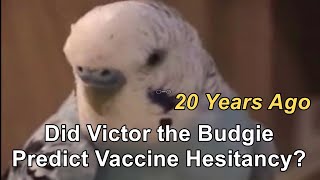 Victor the Budgie Predicts Vaccine Hesitancy Over 20 years ago [upl. by Thenna362]