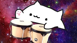 Bongo Cat Лучшая Подборка  Бонго Кэт  Новый мем 2018 [upl. by Dori]