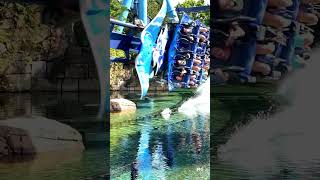 💦 Manta  SeaWorld Orlando rollercoaster themepark seaworld [upl. by Adrahc887]