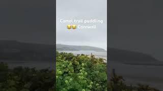 Wadebridge to Padstow camel trail☔️☀️ shortsvideo shorts cornwalllife cornwall wheelchairlife [upl. by Jory598]