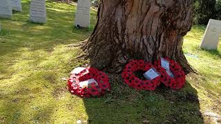 Cemetery Strolls Special Brookwood Military Cemetery Britains largest military cemetery 4 [upl. by Caines]