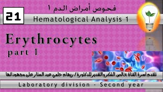 Hematology 21 Erythrocytes part 1 كرات الدم الحمراء ج1 [upl. by Nawak65]