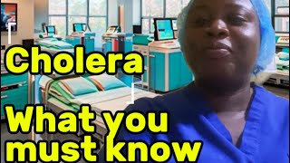 Cholera in Nigeria what you must know cholera outbreak [upl. by Dove376]