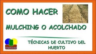 Como Hacer Mulching o Acolchado en el Huerto [upl. by Hagerman]