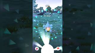 ✨ Shiny Gible in Pokemon Go pokemongo ✨💥😱 [upl. by Nhar]