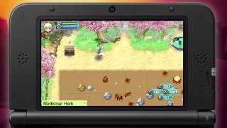 Rune Factory 4 Review [upl. by Aiden71]