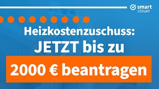 ACHTUNG Jetzt bis zu 2000 € Heizkostenzuschuss beantragen Öl Kohle Pellets usw [upl. by Asile]