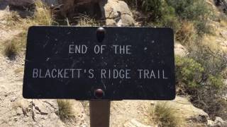 Blacketts Ridge Trail Sabino Canyon AZ [upl. by Einram]