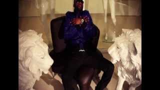 Fally Ipupa  Nyokalessé Clip Officiel [upl. by Leuamme]