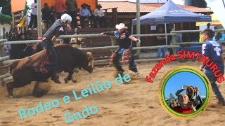 Rodeo e Leilão de Gado na Fazenda SIMTaurus em Porto Henrique Provincia de Maputo  Moçambique [upl. by Olympie]