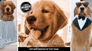 I Won Pet Influencer of the Year [upl. by Solley869]