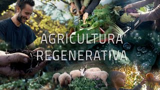 ¿Qué es la agricultura regenerativa [upl. by Frances]