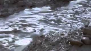 Debris Flow Chile [upl. by Enoed507]