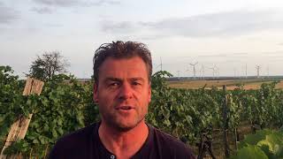 Austrias Carnuntum wine region with Gerhard Markowitsch [upl. by Wynn]