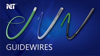 INT Guidewires Introduction Video [upl. by Barbabra]