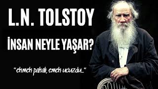 LN TOLSTOY  İnsan Neyle Yaşar  Sesli Kitap Dinle [upl. by Sissel]