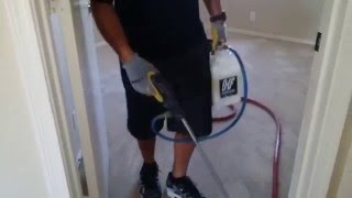 How to professional carpet cleaning dirty carpets [upl. by Gnoht]