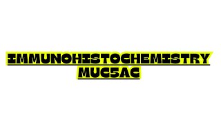 IMMUNOHISTOCHEMISTRY MUC5AC [upl. by Nellad194]