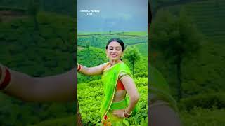 Bhramaramba Ki Nachesanu Video Song  Raarandoi Veduka Chuddam  Naga Chaitanya Rakul Preet [upl. by Aurelie]