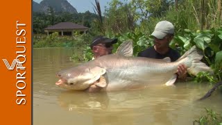 World Record Multispecies Fishery Gillhams Resort Thailand 🎣 [upl. by Ultima]