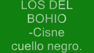 Los del BohioCisne cuello negro [upl. by Htims]