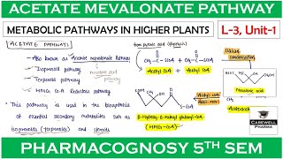 Acetate mevalonate pathway  L3 Unit1  Metabolic Pathways  pharmacognosy 5th sem [upl. by Akinihs]