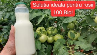 Protejeaza rosiile de mana cu aceasta Solutie 100  Bio [upl. by Kopaz491]