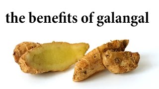 the benefits of galangal [upl. by Suciram505]