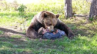 Grizzly Bear Kills amp Devours Whole Family on July 8th 2024 [upl. by Hedi]