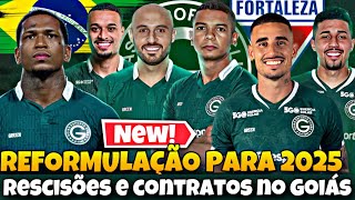 💚😡 QUEM NÃO FICA NO GOIÁS PARA 2025 JOGADORES QUE MERECEM DEMISSÃO NO GOIÁS [upl. by Radnaskela503]