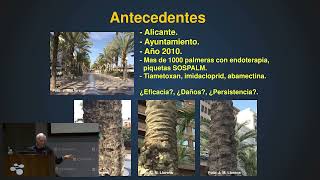 Parte 3  Dr Ing Agr Jose Manuel Llorens  Jornada sobre quotPalmeras y el Picudo Rojoquot [upl. by Alfons454]