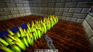 Minecraft  Tuto n°1  Optimiser son champ de blé [upl. by Ludlew878]