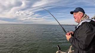 Catfishing on Santee Cooper [upl. by Airotel]