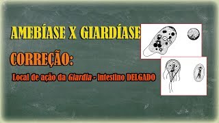 Amebíase e Giardíase correção do local de ação da Giardia [upl. by Lezah]