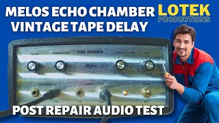 Melos Echo Chamber  Vintage Tape Delay Quick Effect Test No Commentary [upl. by Llewen434]