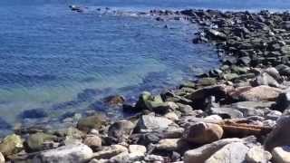 Striper Fishing Narragansett RI Seawall Surf Casting Locations South County RI [upl. by Currier136]