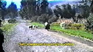 Tu Nomas Tienes La Culpa  Flor Pucarina  Huancayo  Peru [upl. by Down316]