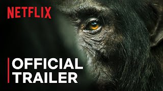 Chimpanzee Trailer [upl. by Lavicrep]