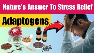 The Rise of Adaptogens Natural Stress Relievers  Harness the Power of Adaptogens StressFree Living [upl. by Amasa]