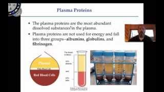 Blood Plasma [upl. by Billi]