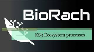 KS3 Biology  Ecosystem processes OVERVIEW Activate 2 B2 [upl. by Oeak852]